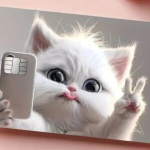 Cute Cat Credit Card Skin