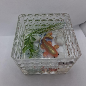 Resin Fish clear box