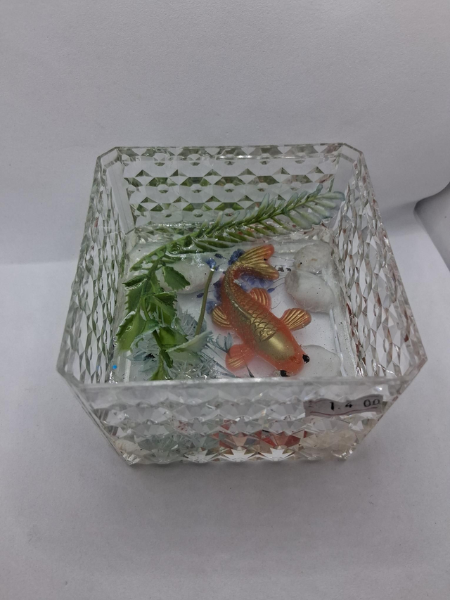 Resin Fish clear box