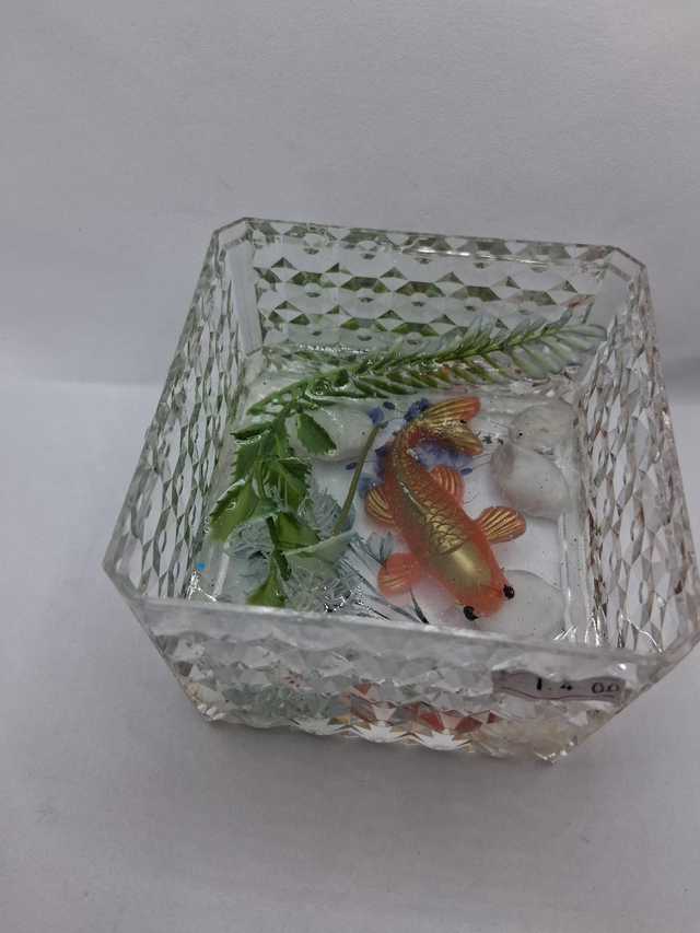 Resin Fish clear box - Image 4