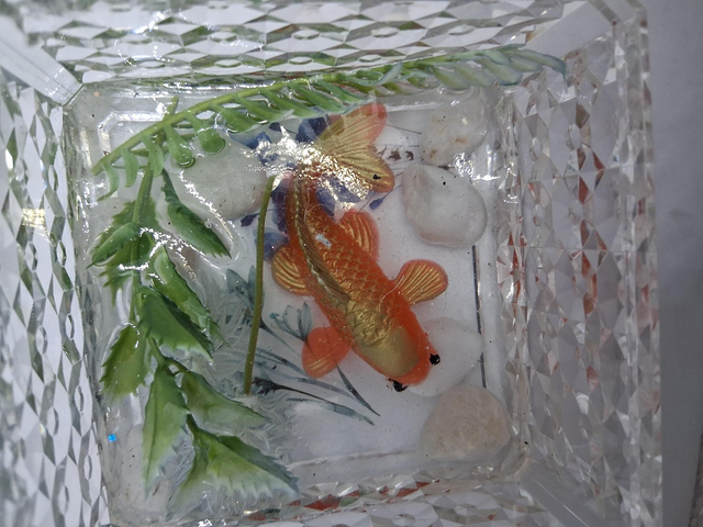Resin Fish clear box - Image 5