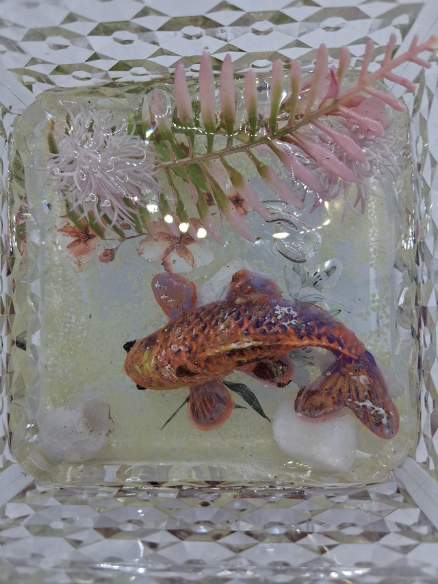 Resin Fish clear box - Image 6