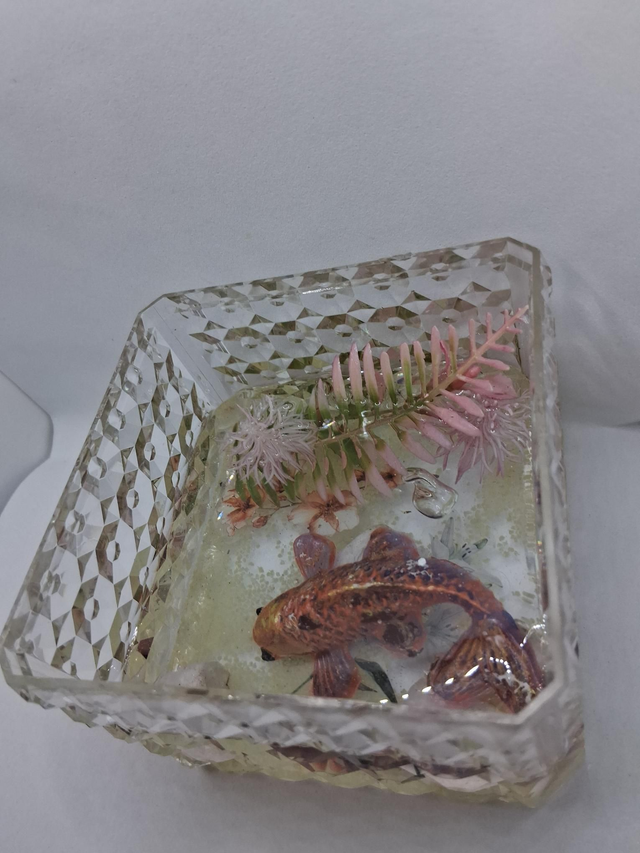Resin Fish clear box - Image 7
