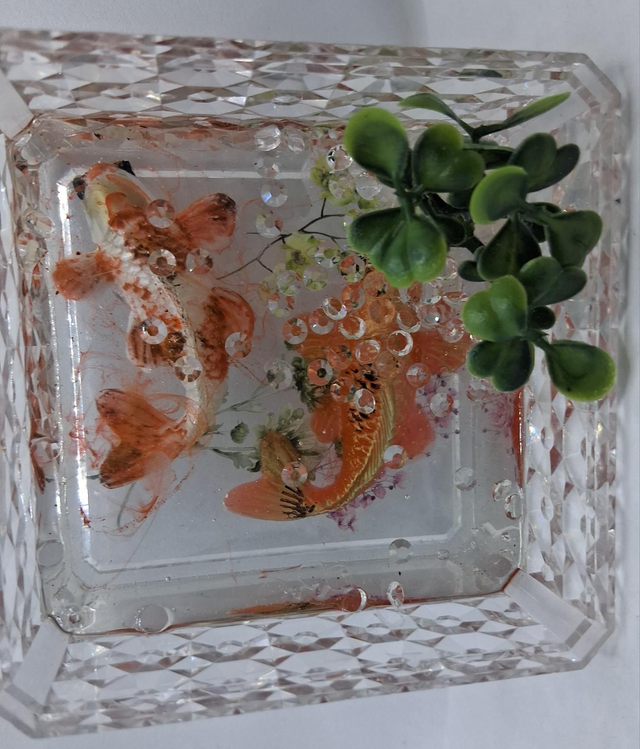 Resin Fish clear box - Image 2