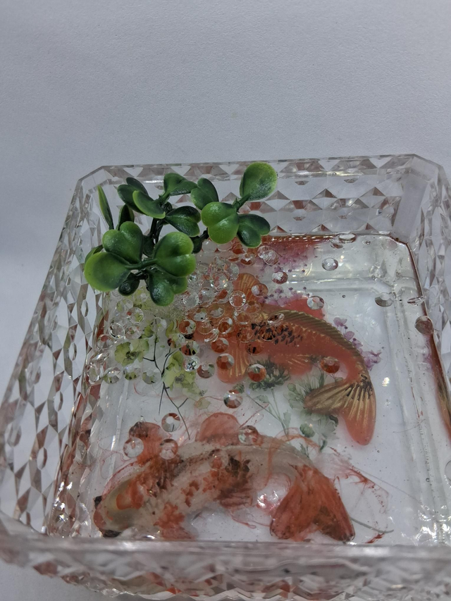 Resin Fish clear box - Image 3