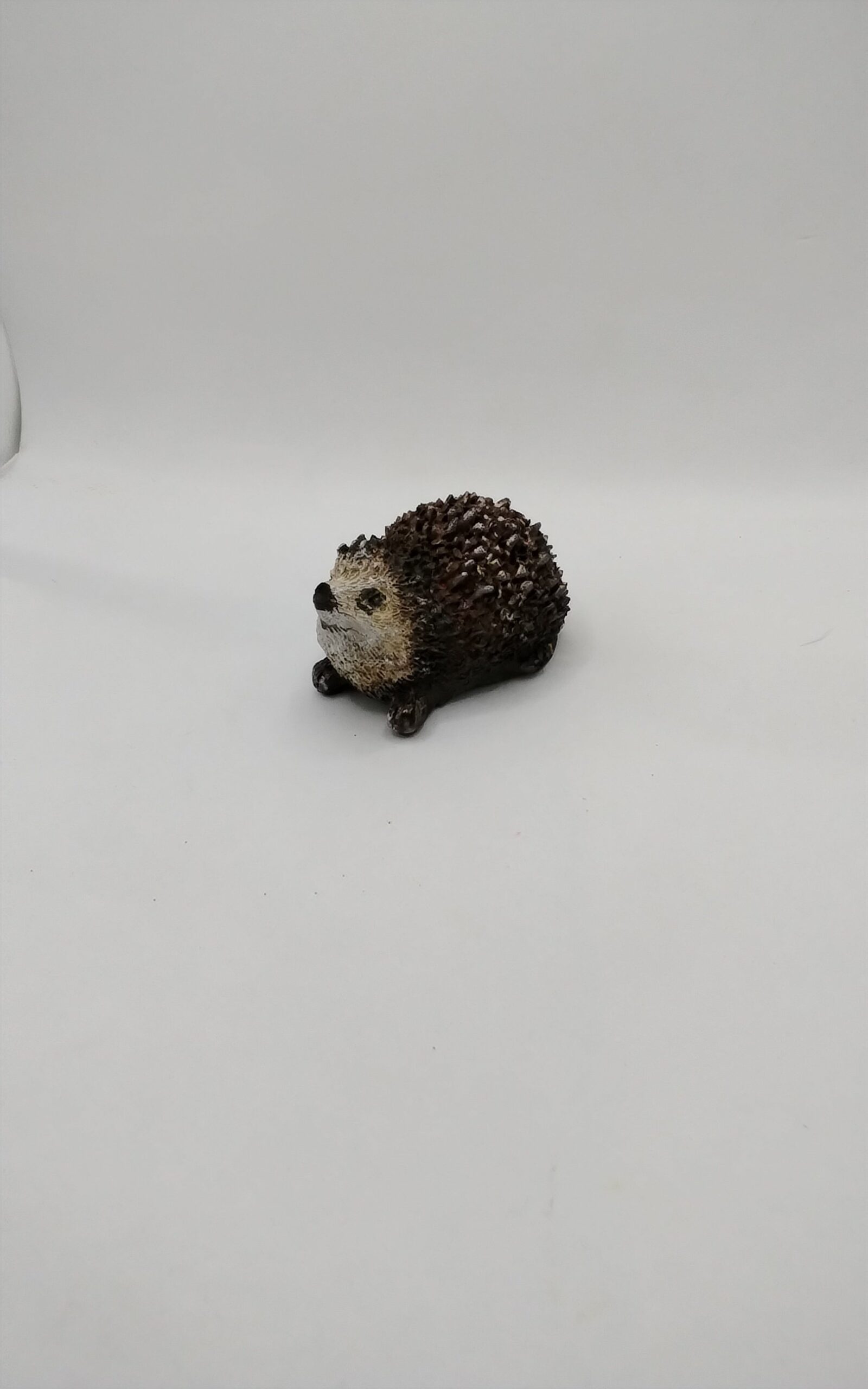 Hedgehog - Image 3