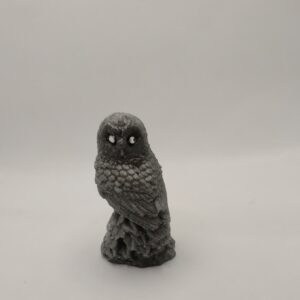 Owl on rock